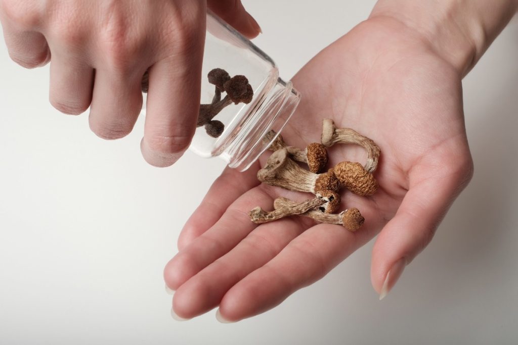 A person is taking out psilocybin mushrooms from a jar